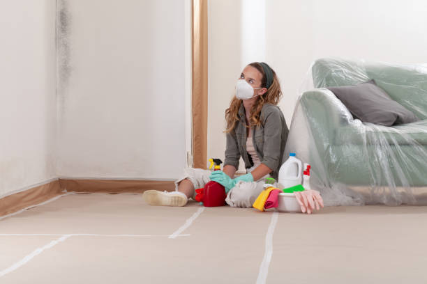 Reliable Basement Mold Remediation contractor in Allentown, PA by WQB Mold Removal
